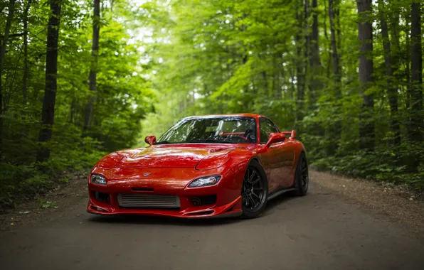Дорога, лес, красный, спорткар, Mazda RX-7