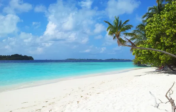 Картинка тропики, красота, отпуск, Мальдивы, oстров