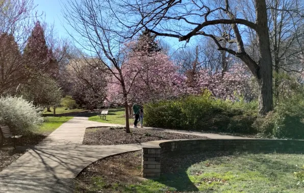 Parks, Raleigh, Fred Fletcher Park