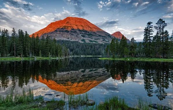 Лес, озеро, гора, Utah, Mirror Lake, Bald Mountain