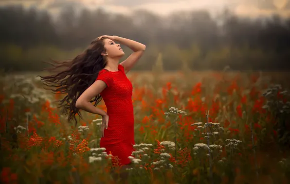 Картинка поле, девушка, ветер, бриз, в красном