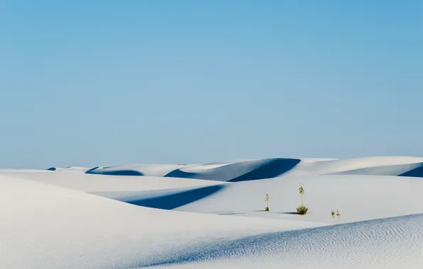 Картинка sky, nature, sand, plants, Desert, shrubs, white sand, dunes