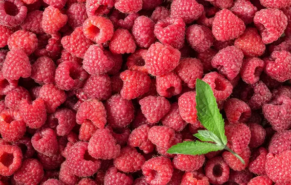 Картинка ягоды, малина, фон, red, fresh, background, berries, raspberry