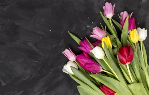Цветы, colorful, тюльпаны, розовые, pink, flowers, tulips, spring