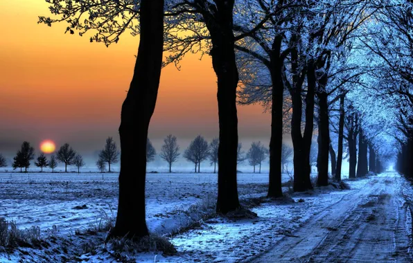 Картинка дорога, деревь, снег, Зима, следы