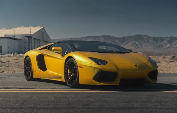 Lamborghini, Color, Aventador, Gold