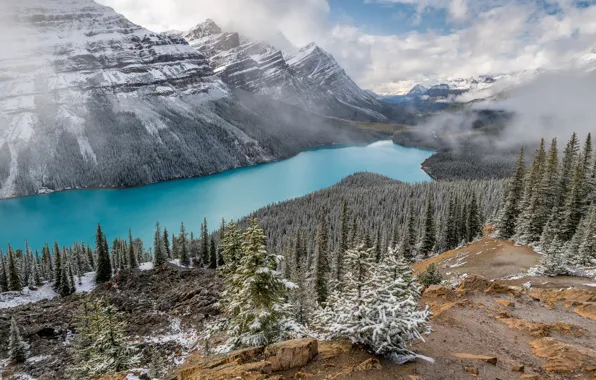 Горы, природа, Peyto Lake
