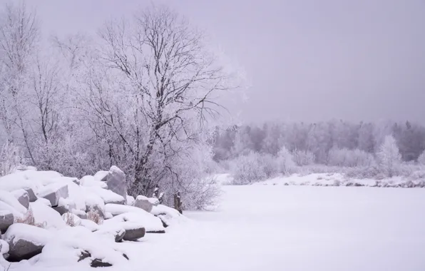 Картинка снег, пейзаж, дерево, камень, сугробы