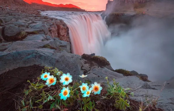Картинка лето, свет, цветы, горы, скалы, водопад, вечер, Исландия
