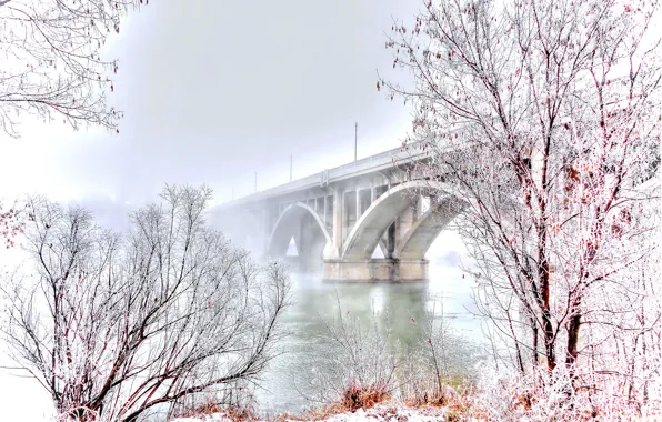 Winter, Landscape, Bridge, Snow, River, Trees