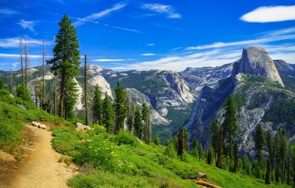 Картинка деревья, горы, Калифорния, тропинка, California, Yosemite Valley, Yosemite National Park, Сьерра-Невада