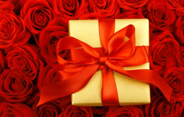 Капли, цветы, коробка, подарок, розы, лента