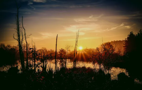 Lake, morning, sunrise, sunrays