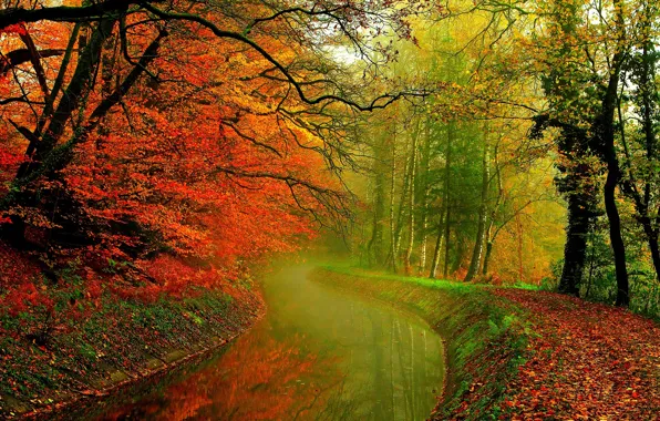 Картинка осень, лес, листья, вода, деревья, природа, река, hdr