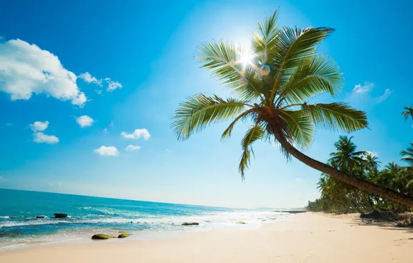 Пляж, пальмы, океан, Карибы, Caribbean island