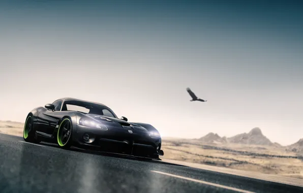 Авто, Черный, Птица, Машина, Dodge, Viper, Dodge Viper, Спорткар