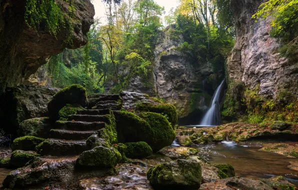 Зелень, деревья, ручей, камни, скалы, водопад, мох, Швейцария