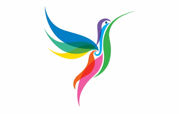 Colorful, bird, multicolor, hummingbird, stylized hummingbird, short tail