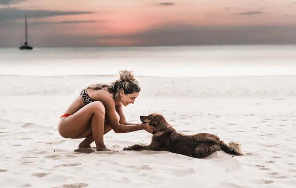 Море, животное, собака, дружба, sea, dog, пёс, animal