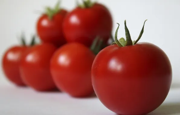 Картинка макро, овощи, томат, помидор