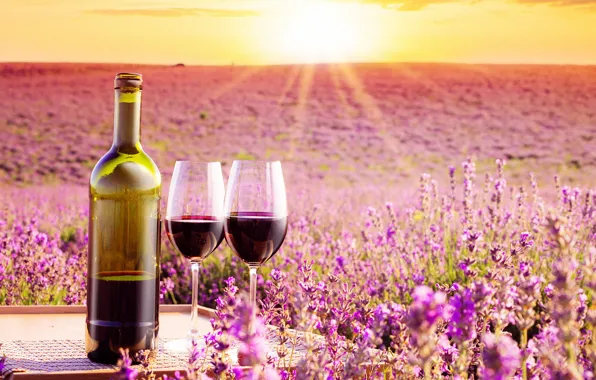 Картинка поле, небо, солнце, лучи, пейзаж, цветы, вино, бутылка