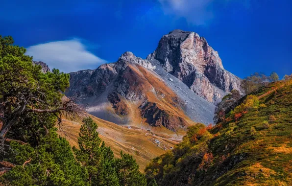 Картинка пейзаж, горы, природа, растительность, Кавказ, Загедан-Скала
