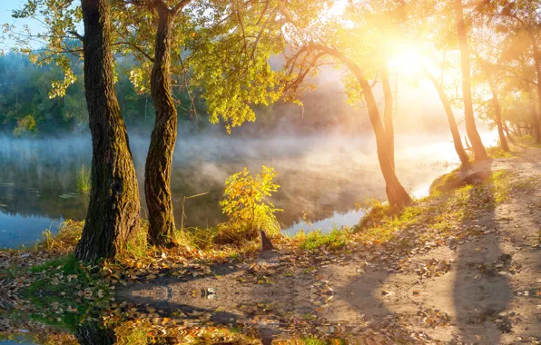 Картинка осень, солнце, деревья, туман, озеро