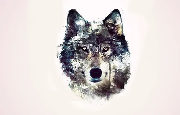 Глаза, фон, абстракции, волк