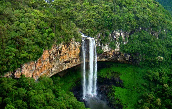 Лес, деревья, скала, обрыв, поток, Бразилия, штат Риу-Гранди-ду-Сул, водопад Каракол