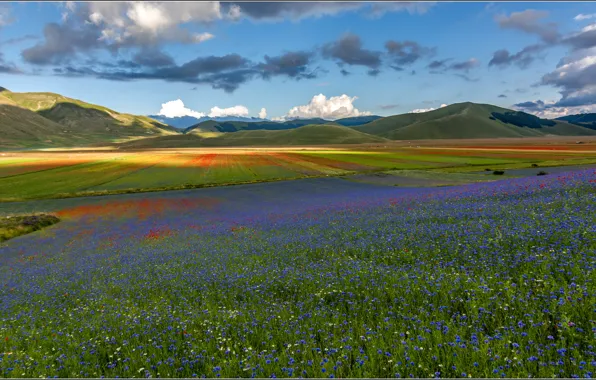 Картинка поле, небо, цветы, горы, луг, Италия