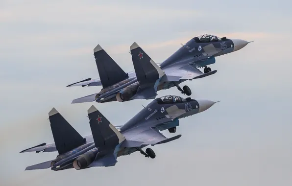Картинка истребитель, пара, полёт, Россия, многоцелевой, Су-30СМ