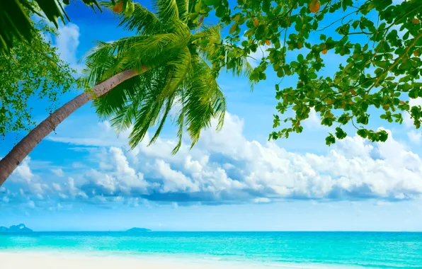 Картинка море, пляж, небо, облака, пейзаж, природа, пальмы, берег