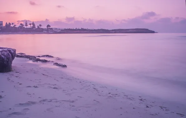 Картинка море, вода, гладь, камни, пальмы, рассвет, берег, утро