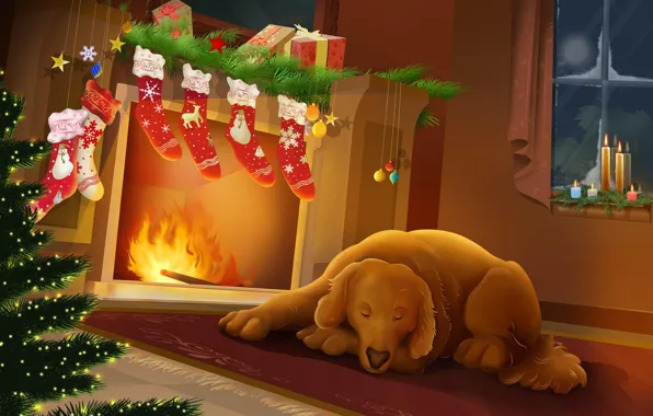 Ночь, тепло, новый год, рождество, собака, камин