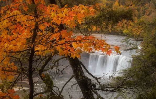 Осень, деревья, пейзаж, природа, река, водопад, США, Кентукки