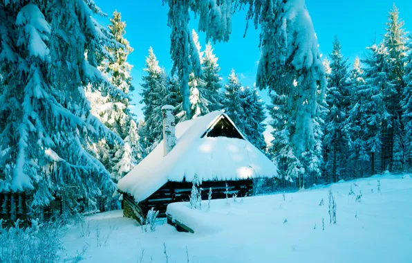Картинка зима, лес, снег, Польша, хижина