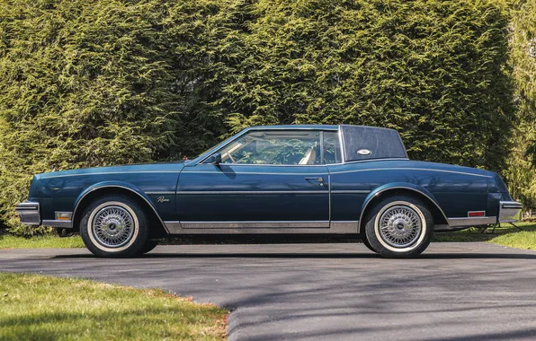 Авто, синий, Buick Riviera, 1985 Buick Riviera (4E Z57)