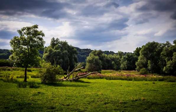 Картинка Нидерланды, Голландия, Eijsden, Эйсден