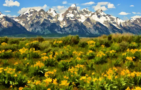 Картинка небо, пейзаж, цветы, горы, природа, луг