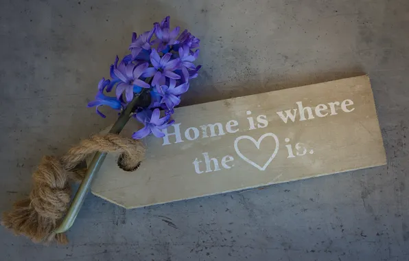 Love, flower, heart, wood, note, board, home, blue flower