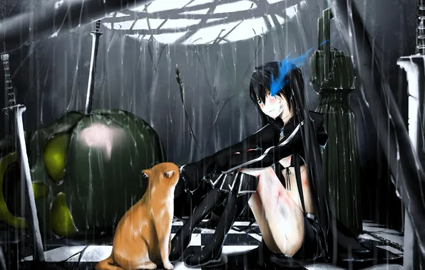 Кошка, кот, девушка, оружие, дождь, череп, меч, black rock shooter