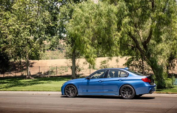 Бмв, BMW, wheels, Vorsteiner, blue, 328i, f30