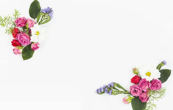 Белый, цветы, фон, flower, pink, bouquet, roses, букеты