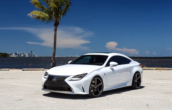 Lexus, White, F-Sport, RC350