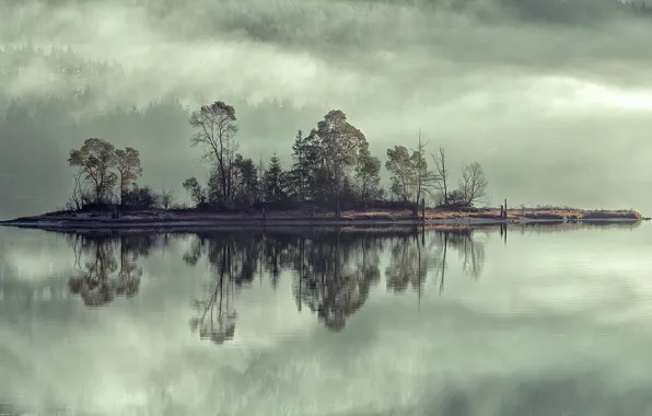 Небо, деревья, туман, озеро, река, остров