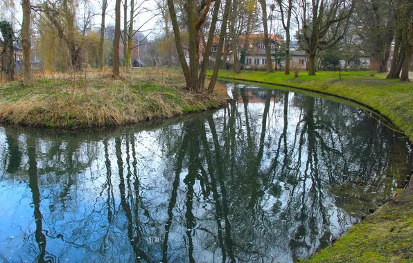 River, water, park, pond