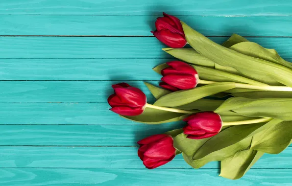Цветы, букет, тюльпаны, красные, red, flowers, tulips, spring