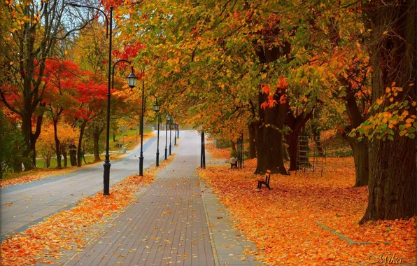 Дорога, Осень, Деревья, Фонари, Парк, Fall, Листва, Park