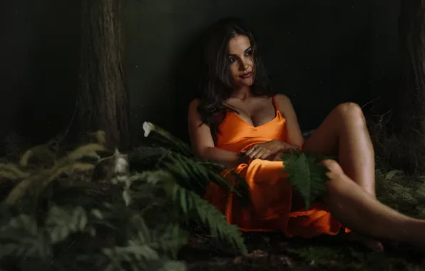 Wallpaper, girl, dress, legs, photography, nature, boobs, woman