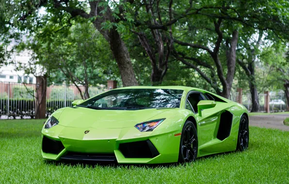 Картинка Lamborghini, Green, LP700-4, Aventador